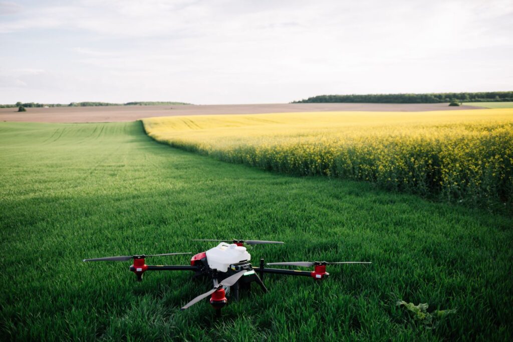 Current image: ฟาร์มอินทรีย์