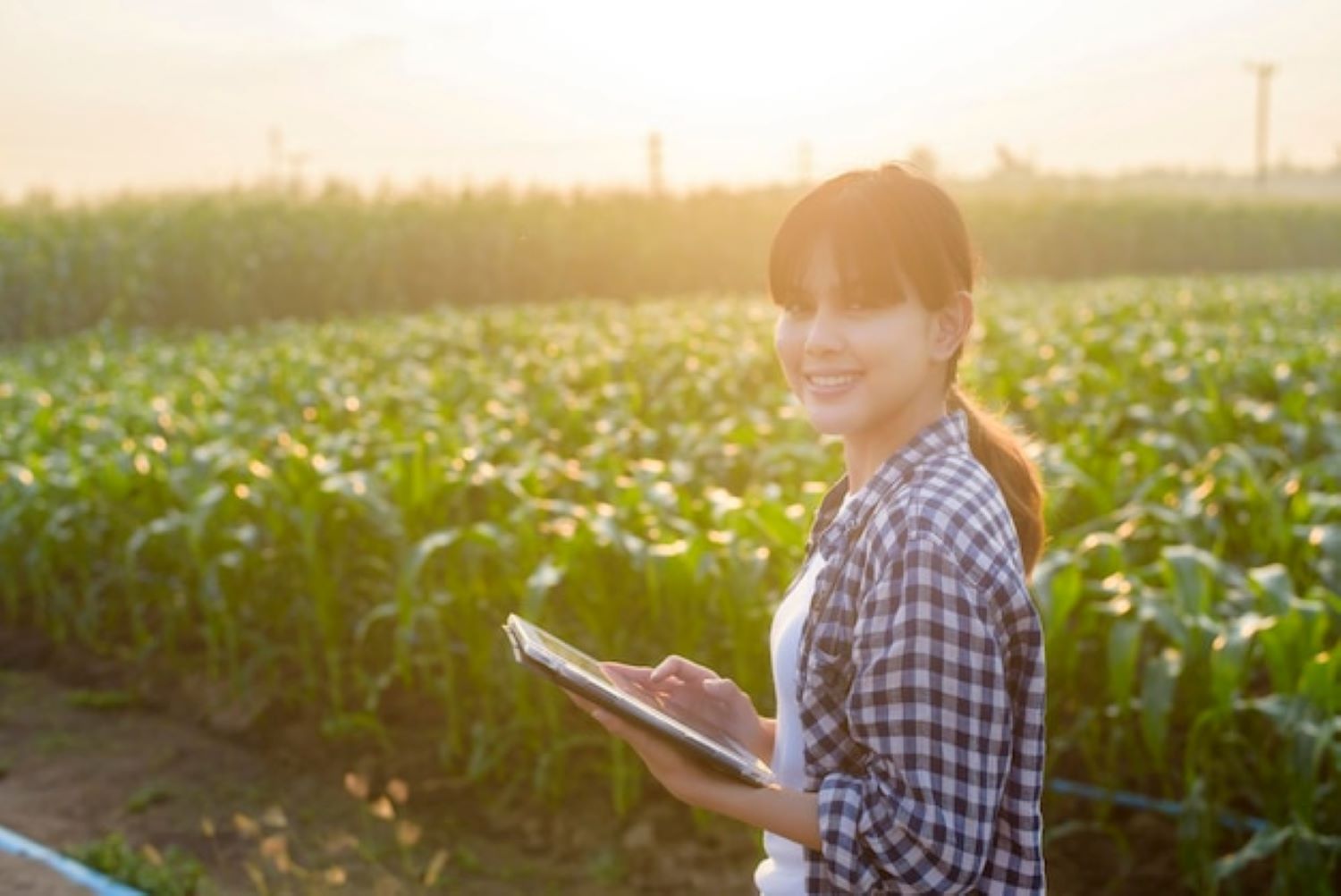 Young Smart Farmer