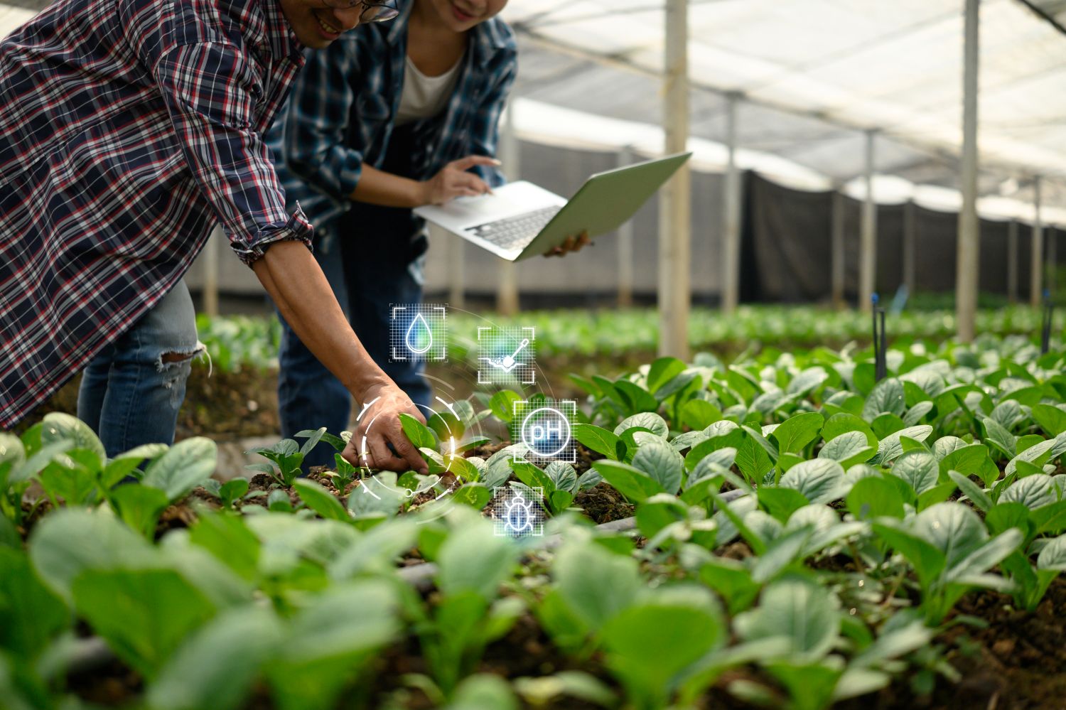 Smart Farming1