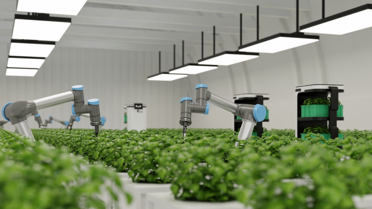 Smart Farming2
